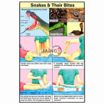 Snakes and their Bites Chart